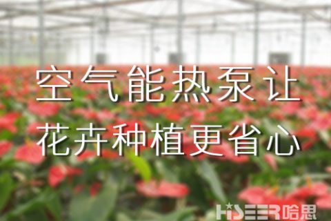 空气能热泵让花卉莳植更省心，优品率可达90%以上